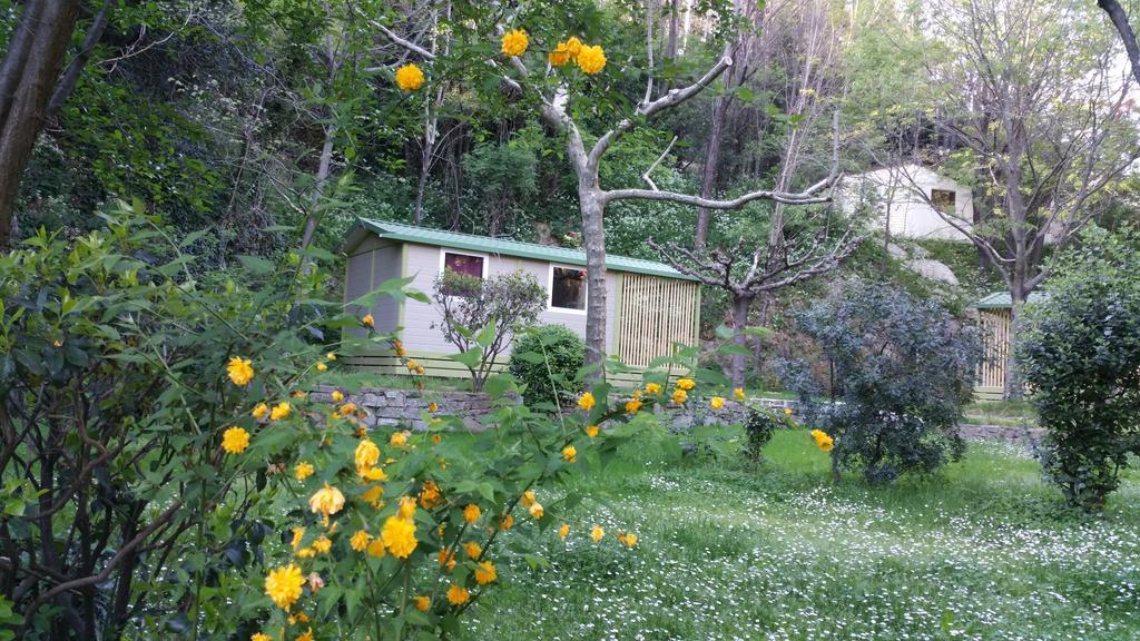 Camping Les Sources Сен-Жан-дю-Гар Екстер'єр фото